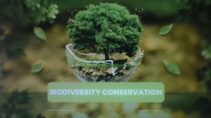 Presentazione grafica con scritta sulla conservazione della biodiversità e un albero verde sullo sfondo