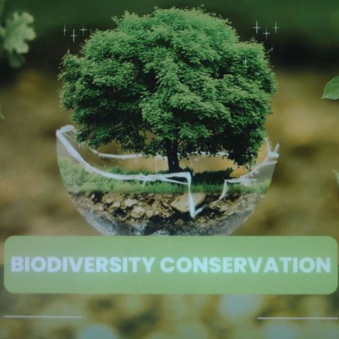 Presentazione grafica con scritta sulla conservazione della biodiversità e un albero verde sullo sfondo