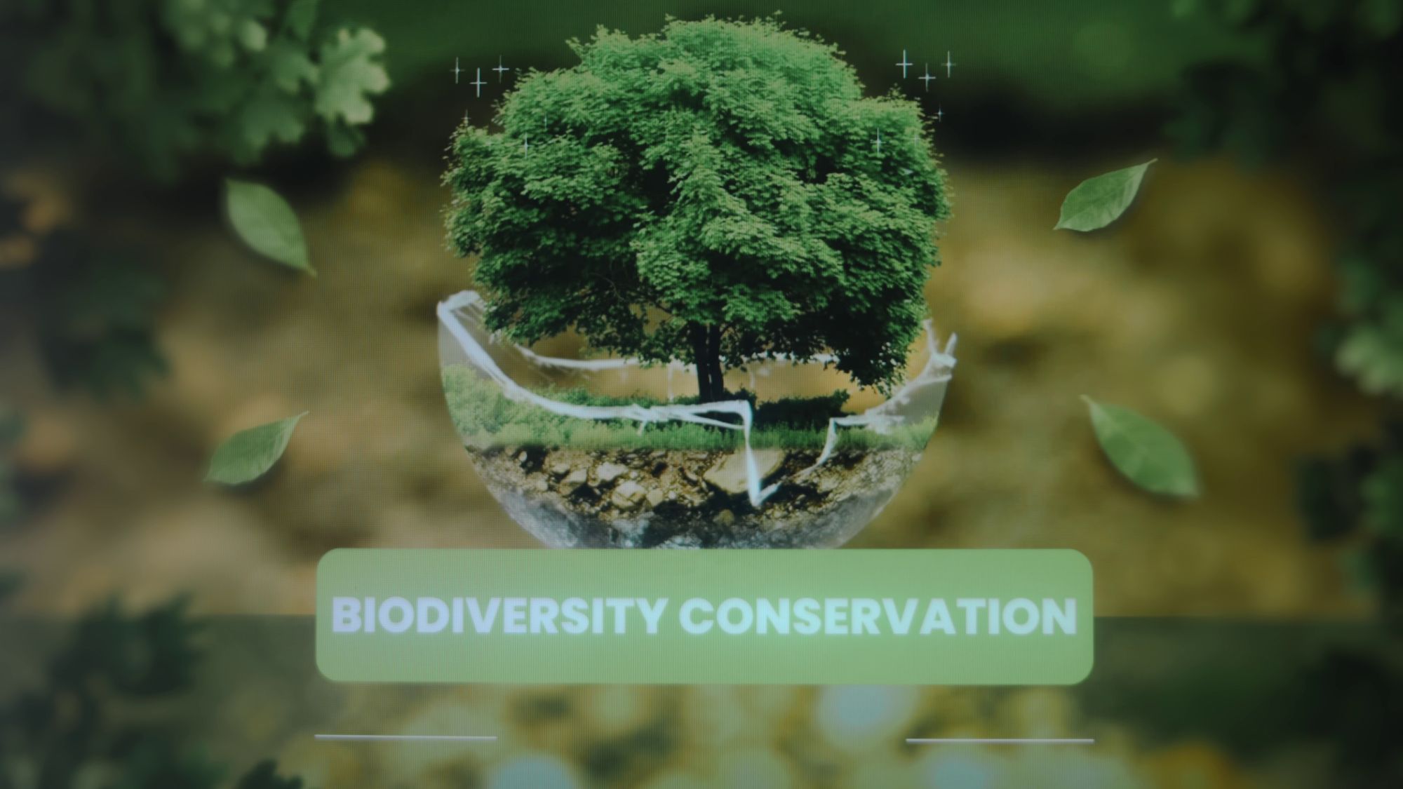 Presentazione grafica con scritta sulla conservazione della biodiversità e un albero verde sullo sfondo