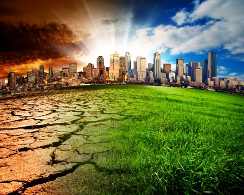 Effetti cambiamento climatico su una città