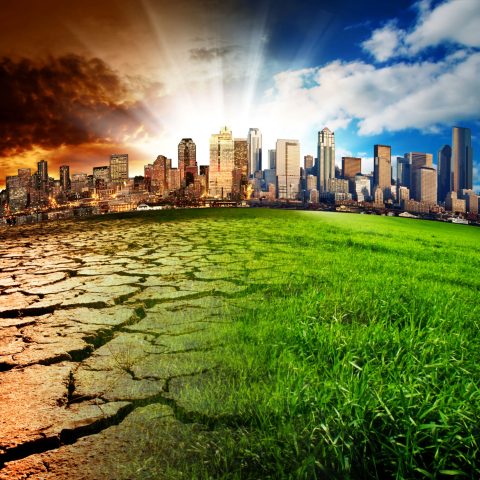 Effetti cambiamento climatico su una città