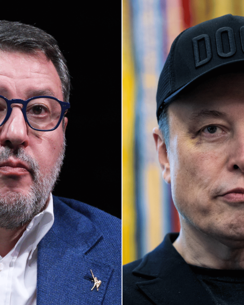 matteo salvini ed elon musk